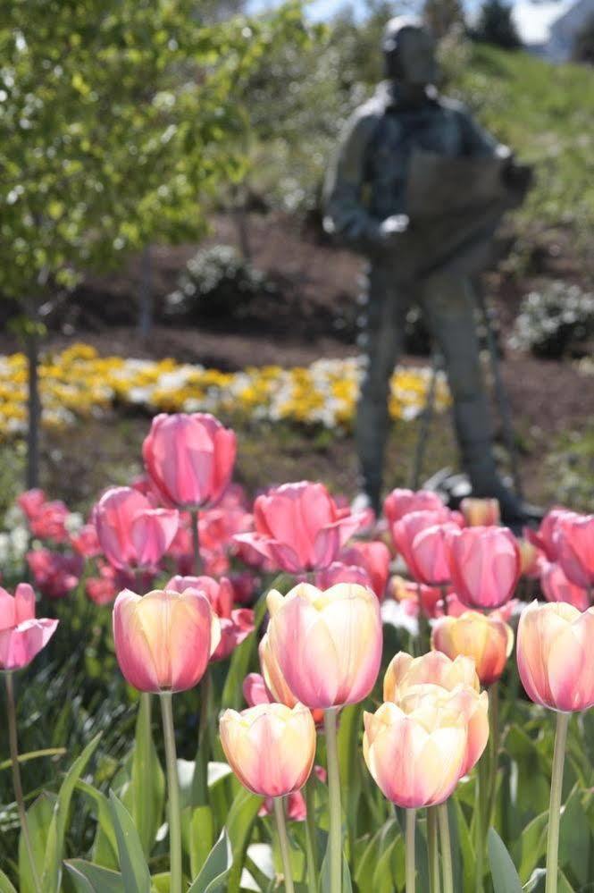 University Of Virginia Inn At Darden Charlottesville Ngoại thất bức ảnh